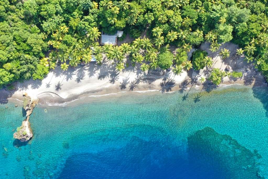 Anse Chastanet Resort Суфриер Природа фото